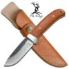 8 Inch Fixed Blade Elk Ridge Hunter Knife With Dark Brown Wood Handle 1 8 Inch Fixed Blade Elk Ridge Hunter Knife With Dark Brown Wood Handle -Knife Sales Store ER268
