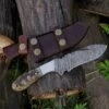 9.9" Damascus Steel Custom Handmade Horn Handle Hunting Gut Hook Knife 1 9.9" Damascus Steel Custom Handmade Horn Handle Hunting Gut Hook Knife -Knife Sales Store FRG41 11